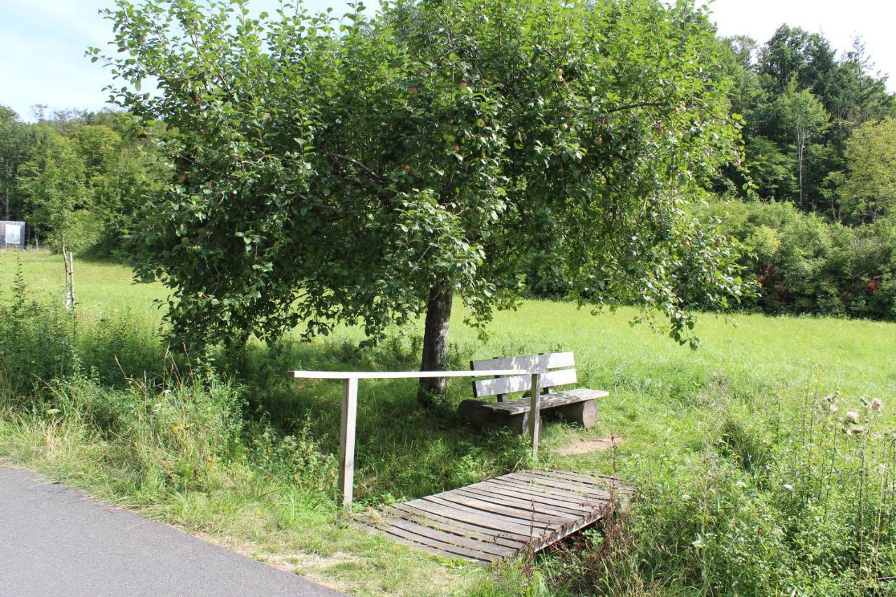Ferienwohnung Forellenhof Oberschwarzach Dış mekan fotoğraf